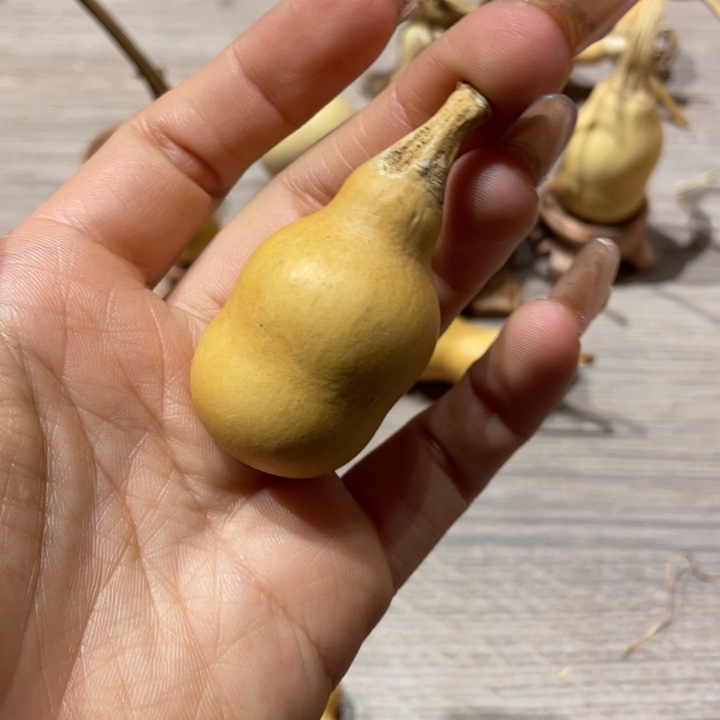 @*葫芦葫芦葫芦葫芦