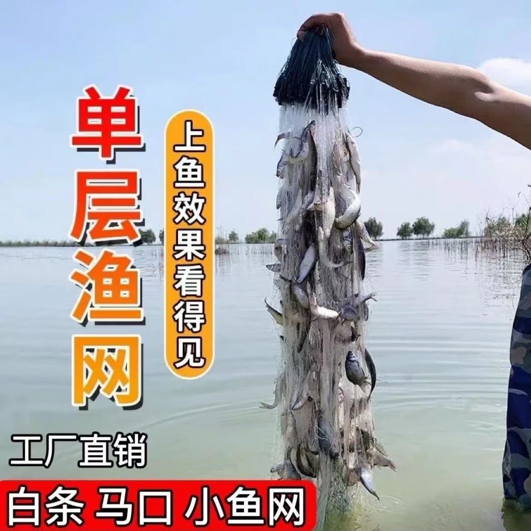 单层渔网进口软丝白条浮网一指沉网丝网挂网渔网小鱼捕鱼网麦穗网