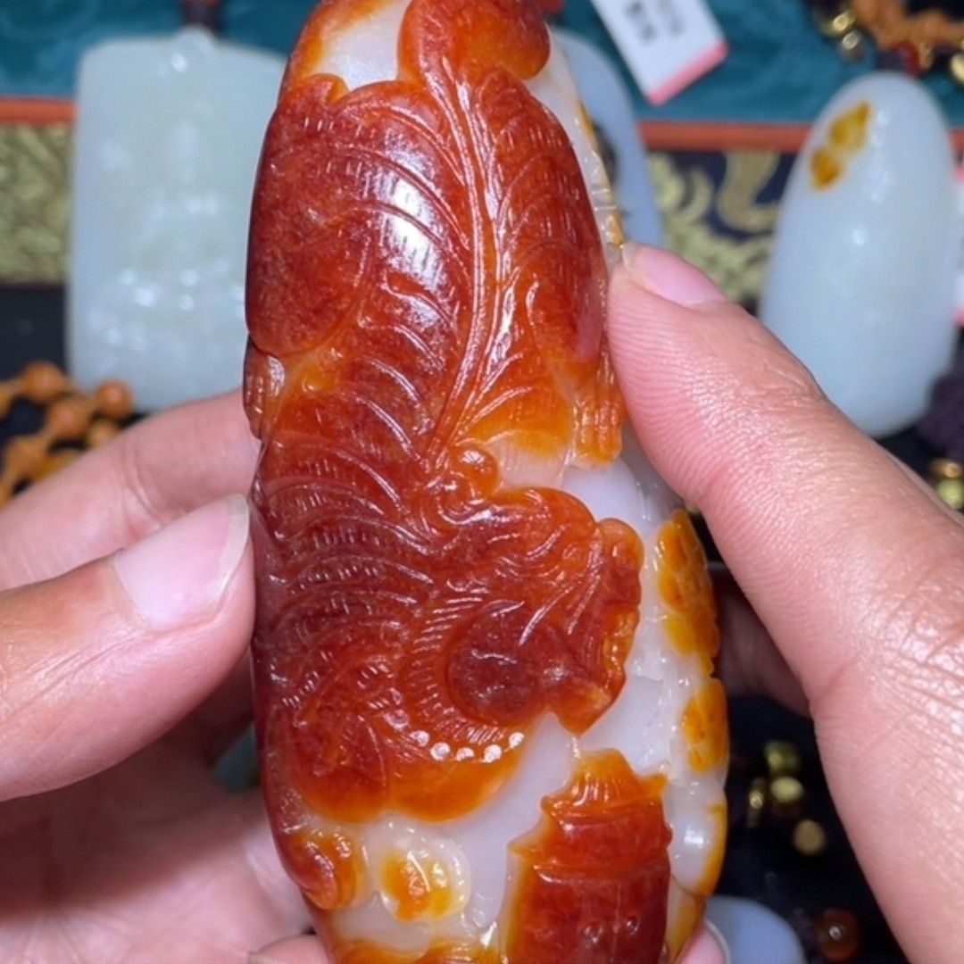 石包多样性拍一发一12月1日 J