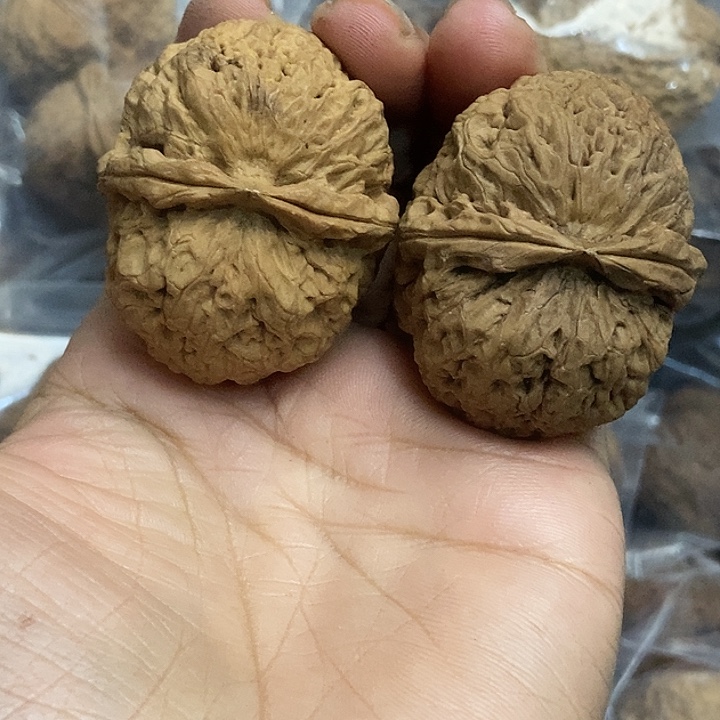 把件文玩核桃云南铁核桃基地19