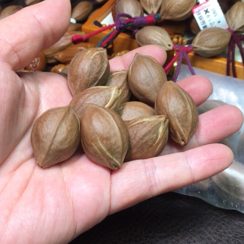 橄榄核手串/手链林**道橄榄核