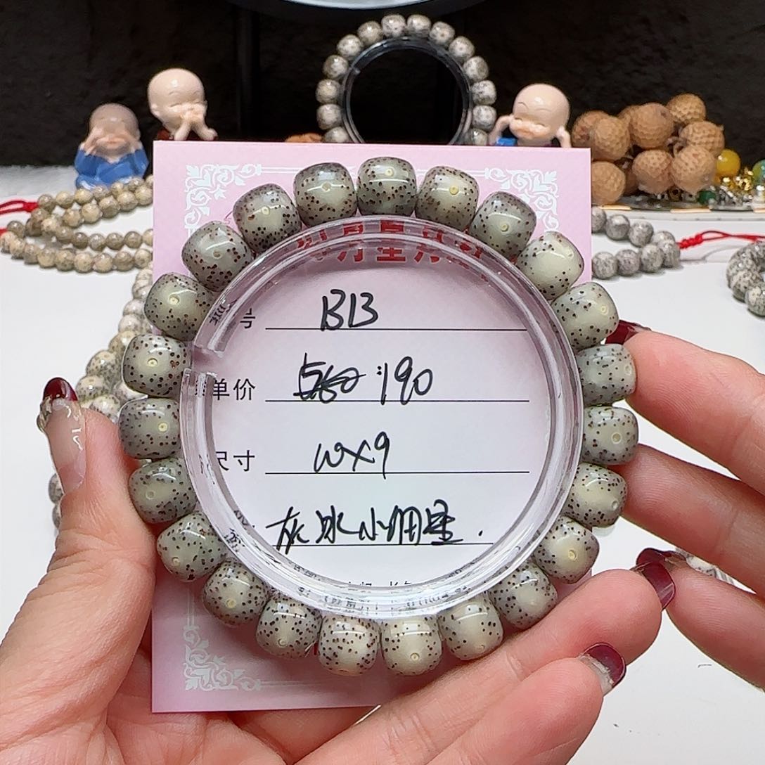 心月星月菩提一号B13