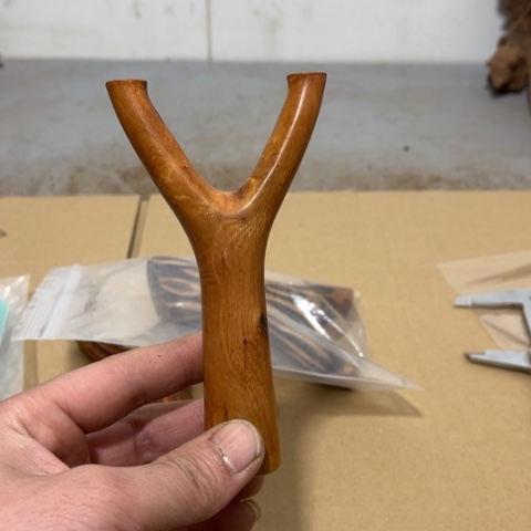 大果紫檀（缅甸花梨）两****子