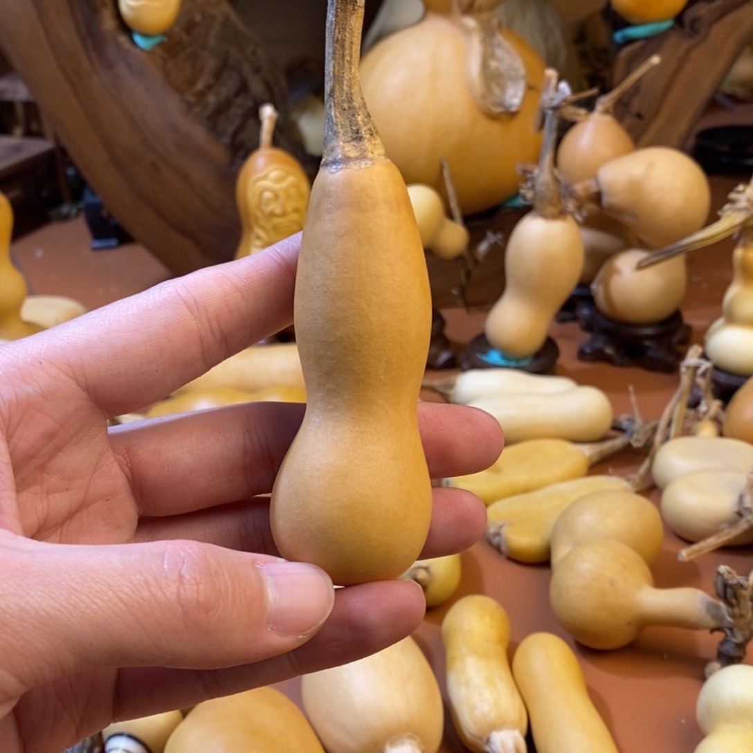 阿***粉教练教练哭了教练