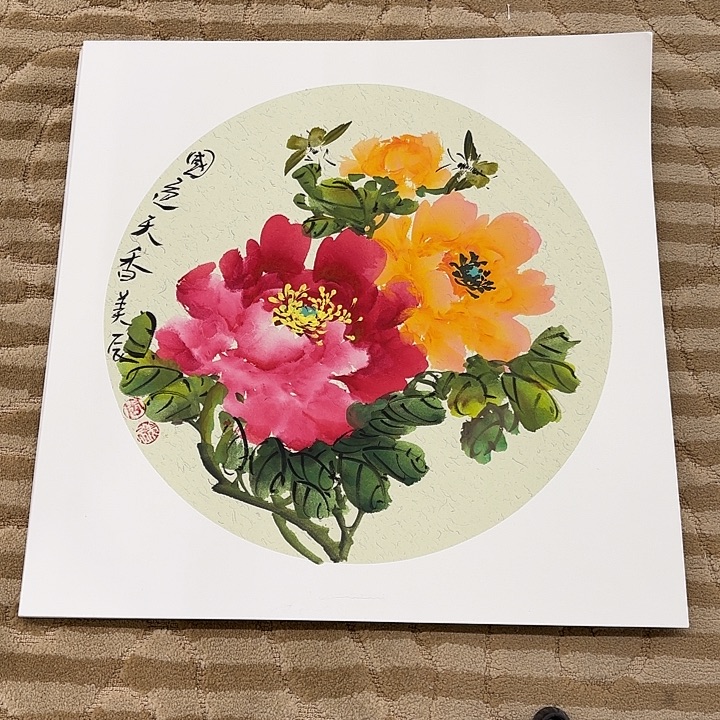 国画花鸟等多种鸟类和动物50.50