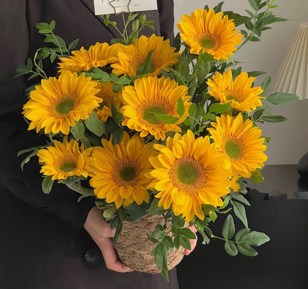 一举夺魁【5枝 绿心向日葵 】任意拍两单升级顺丰/京东  云南鲜花