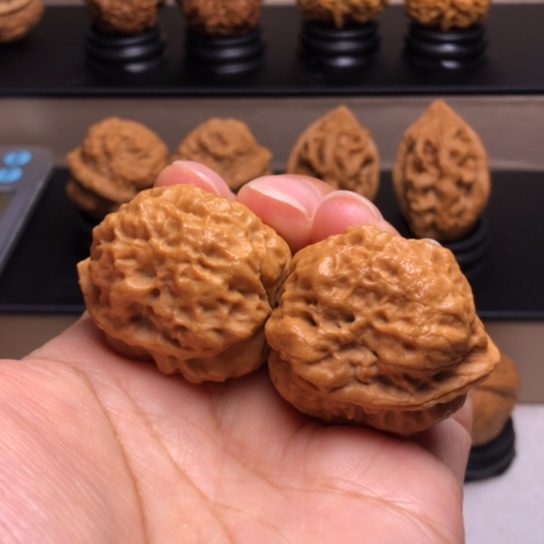 文玩核桃把件鸭嘴兽疙瘩包20
