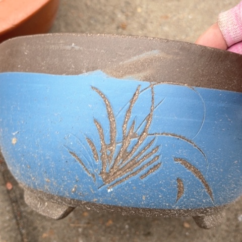 紫砂花盆哈皮花盆46