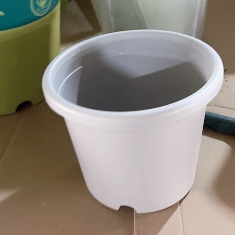 树脂四季3号6个绿➕托