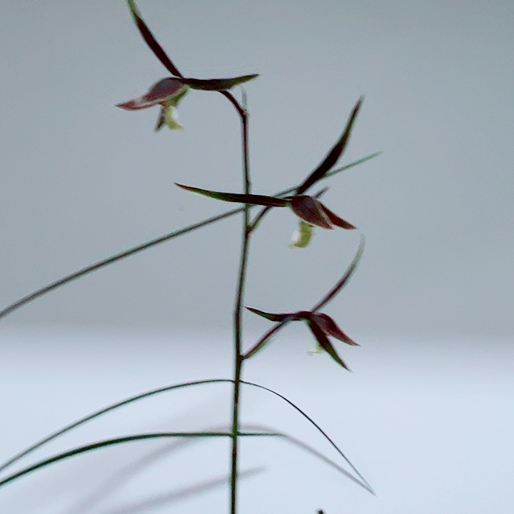 小***标完全开放一物一拍