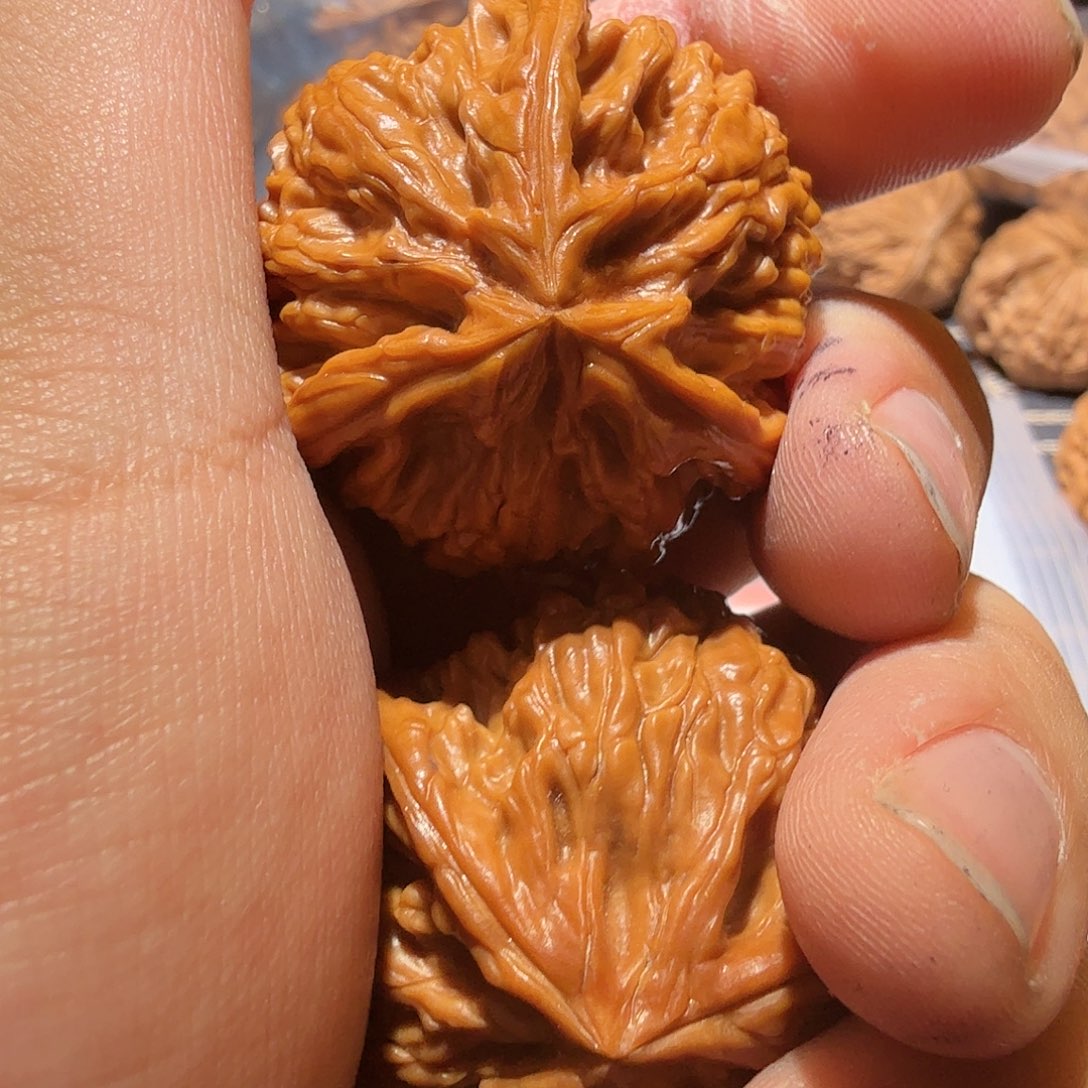 文玩核桃吊坠御龙正奔