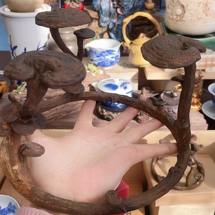 天香阁好物推荐优选