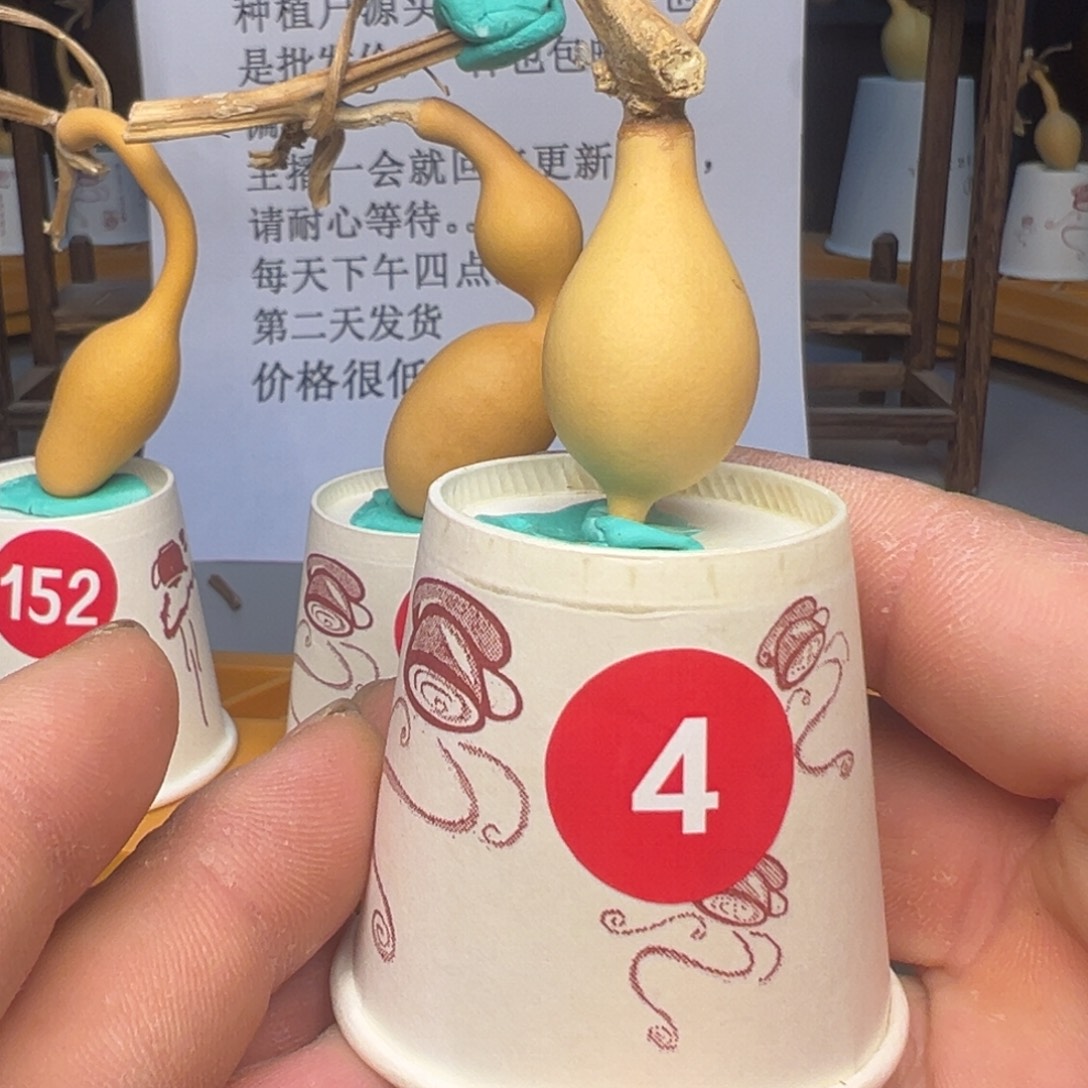 闪电购自助下单编号04