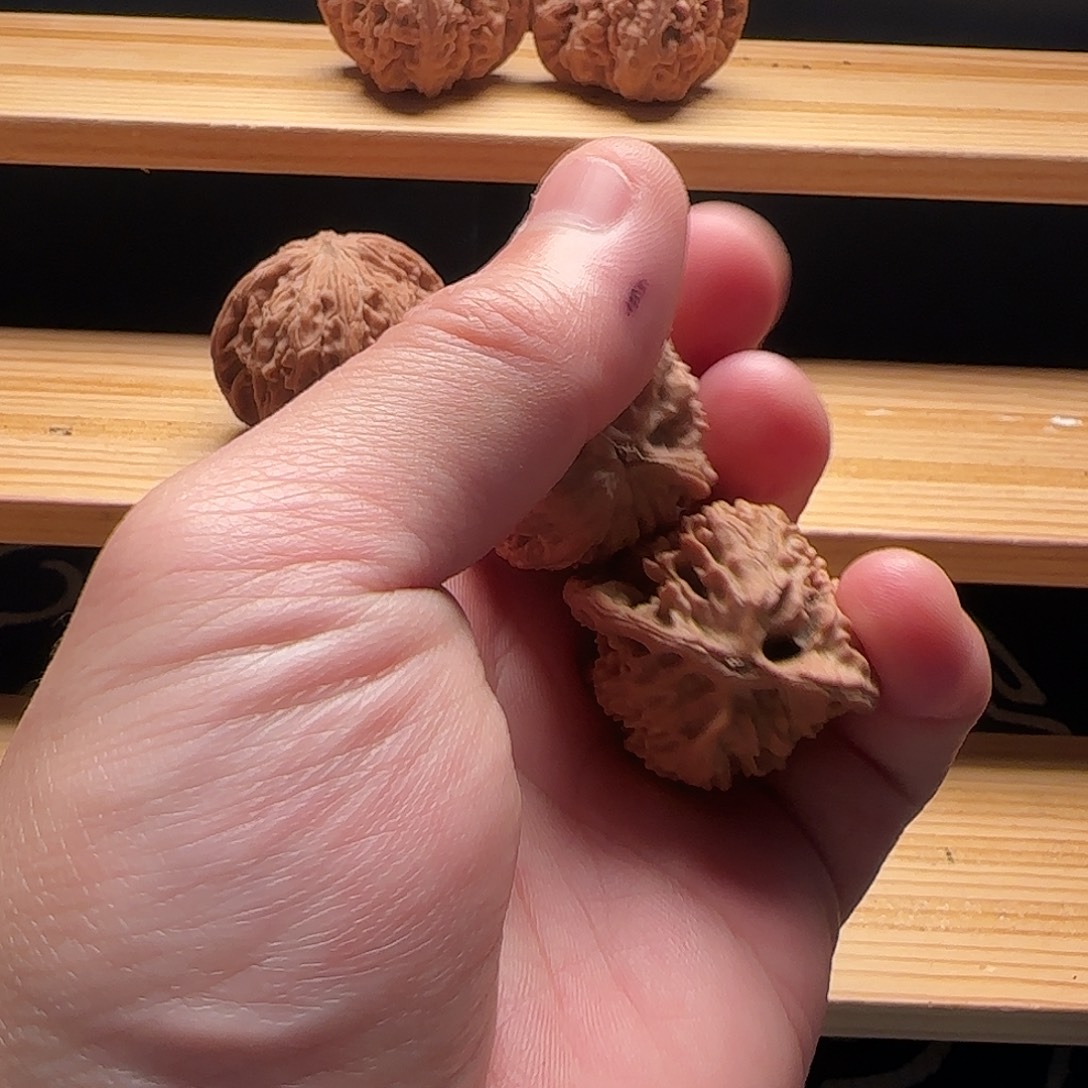 吊坠桃核鸭嘴鸭嘴