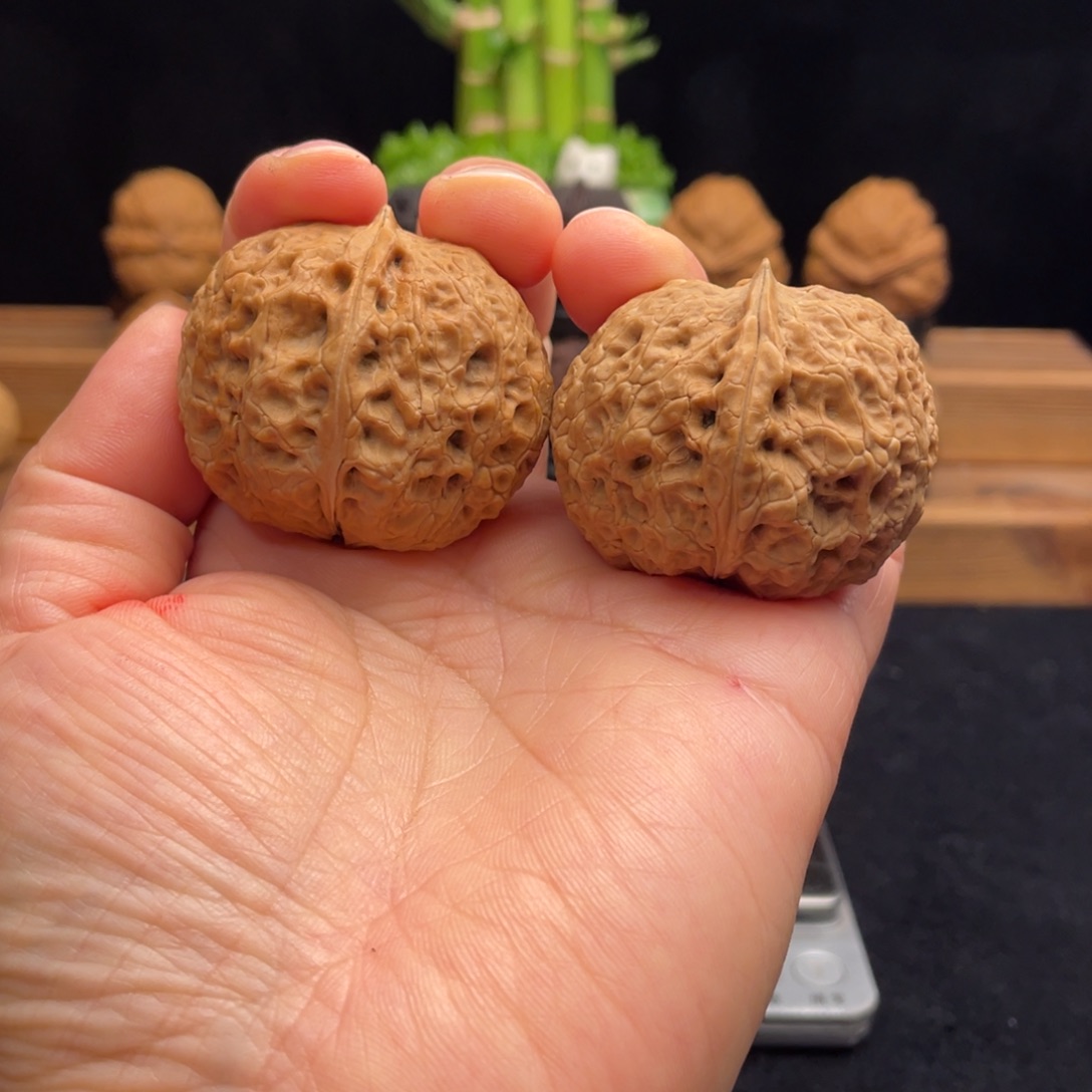 文玩核桃把件云南铁核桃26