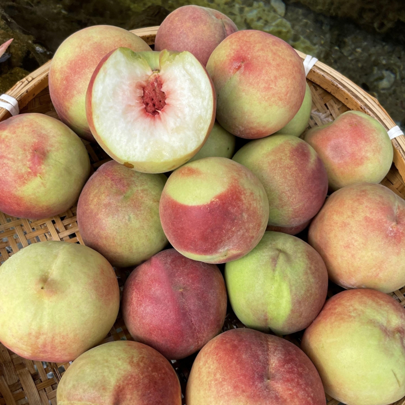 【现摘现发】A8云南小冬桃 脆甜离核新鲜现摘蜜桃当季应季水果 好吃