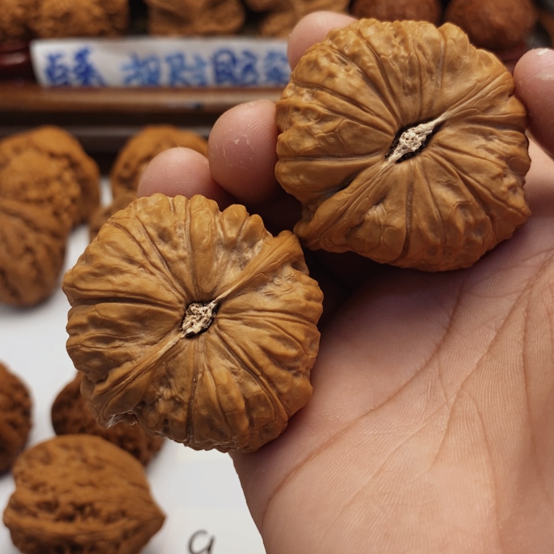 文玩核桃把件46南瓜墩 5