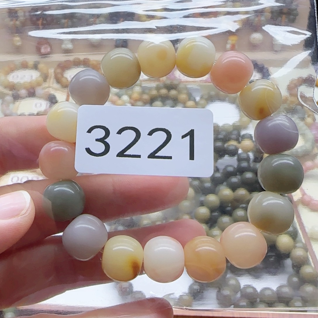淼***淼菩提根/象牙果手串