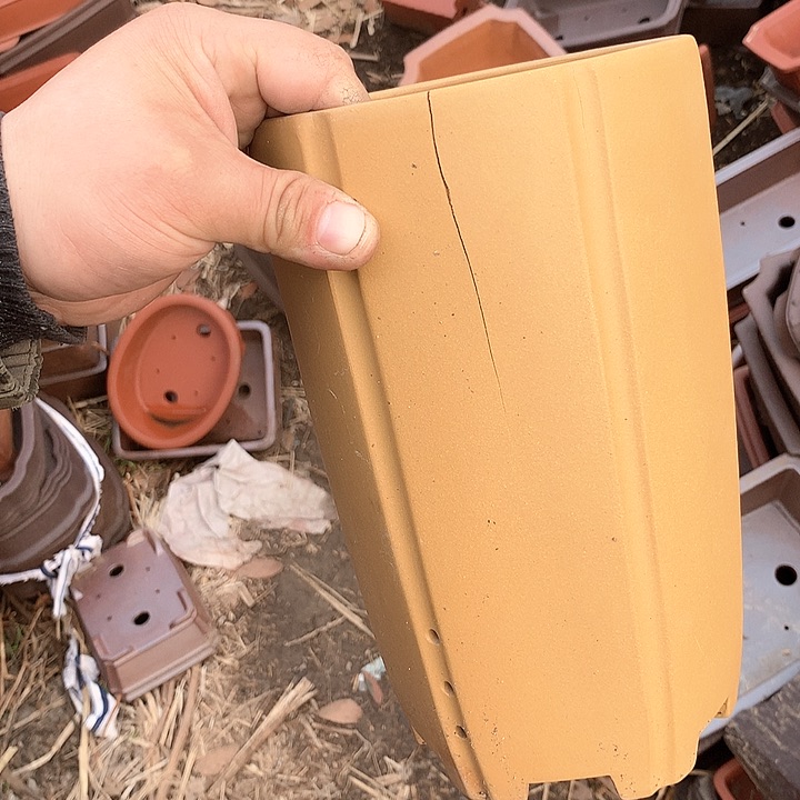 紫砂我要和你们在一起吧