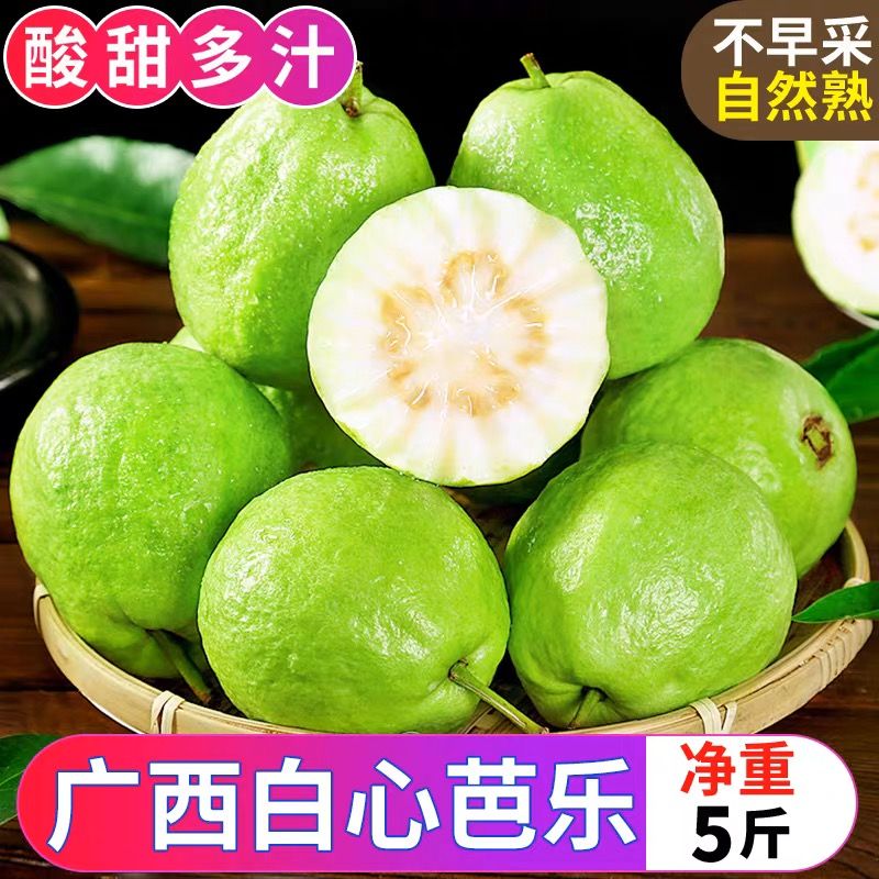 广西现摘白心芭乐脆口清甜新鲜当季健康水果脆甜浓香