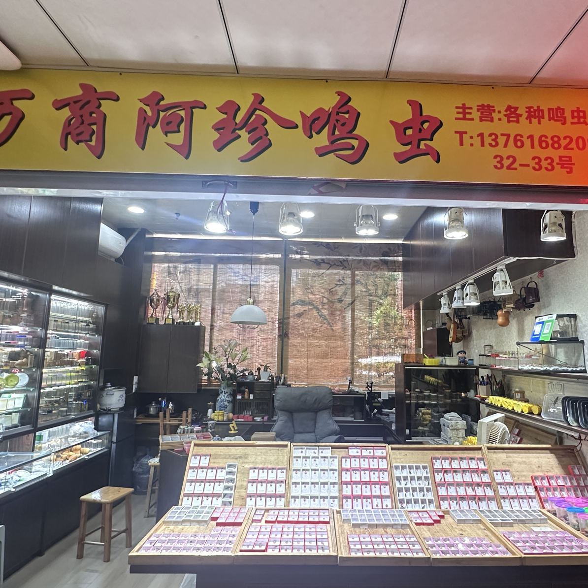 万商阿珍鸣虫店，经营各类鸣虫及虫具