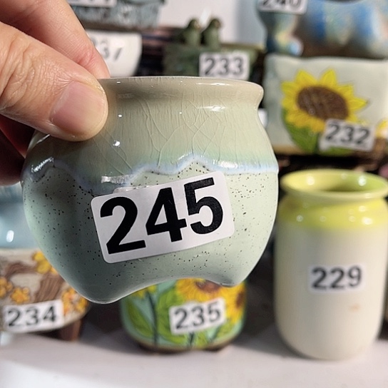 红陶多肉植物花盆