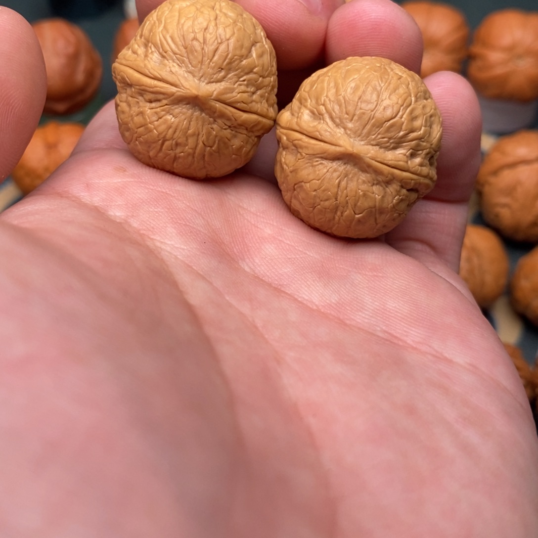 文玩核桃把件蛇皮球