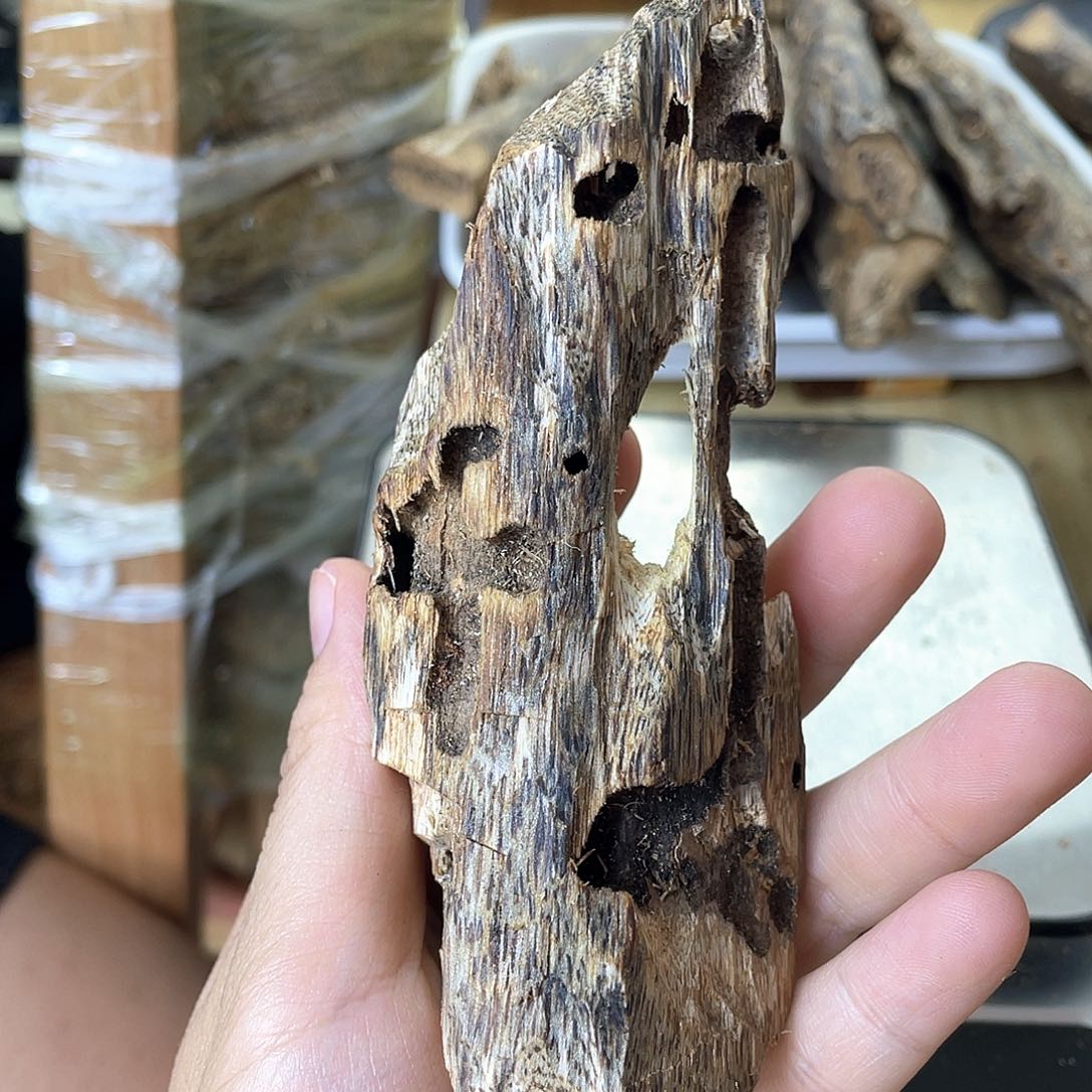 木绿奇楠原材料虫漏44克