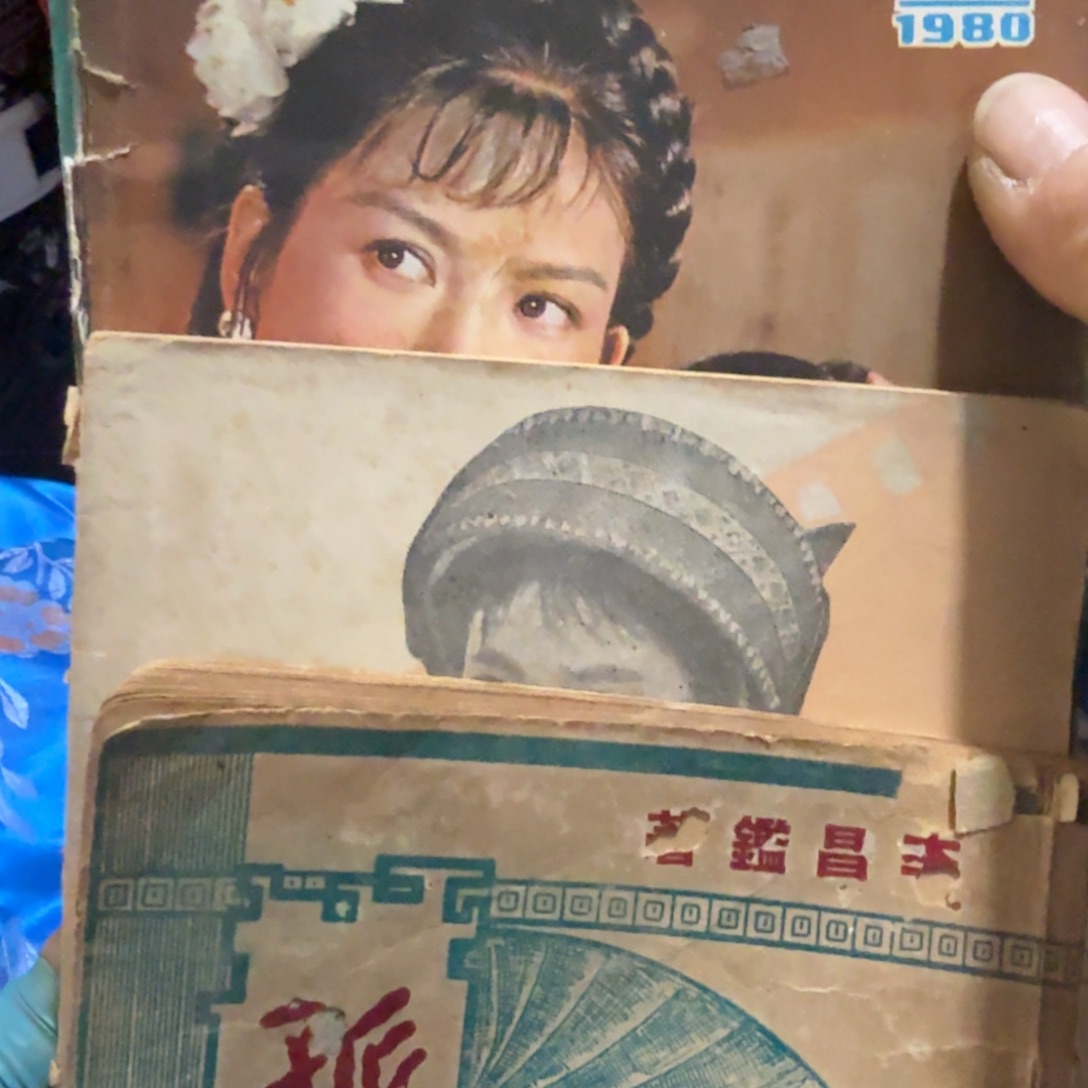 D***会杂色豆（科檀/科特迪瓦檀木）