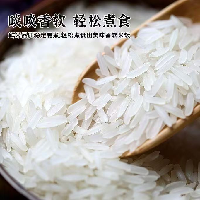 正宗长粒香籼米农家新米10斤家庭装优质大米整箱包邮