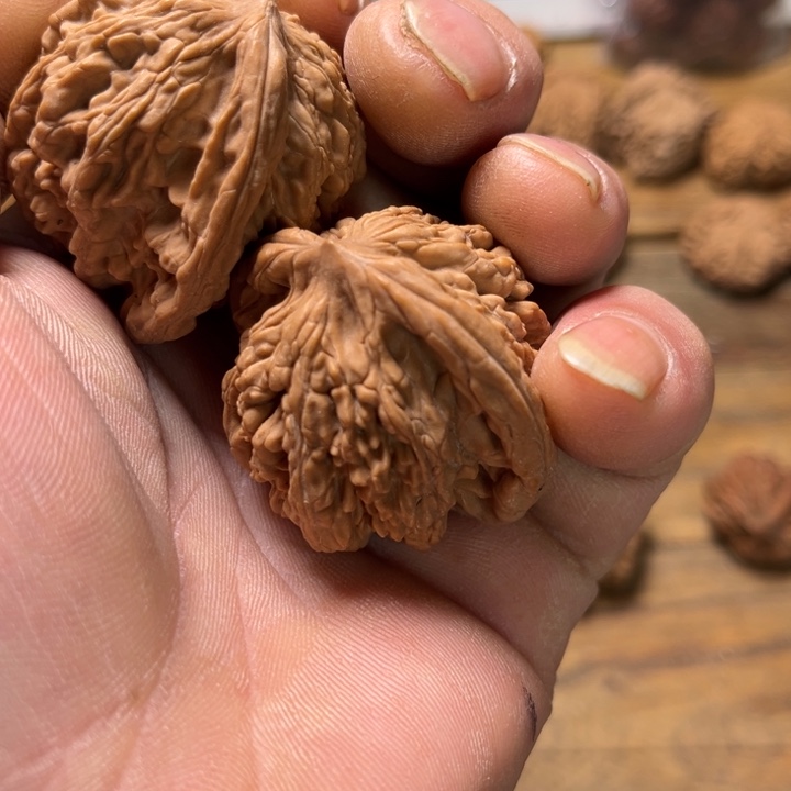 核桃文玩核桃虎头老树