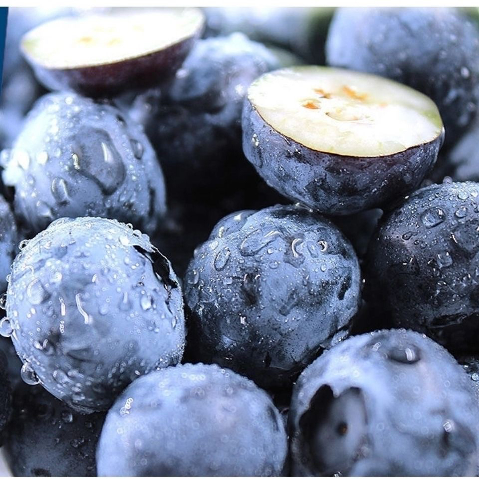 8盒 巨无霸20+新鲜蓝莓水果连云港发货100g