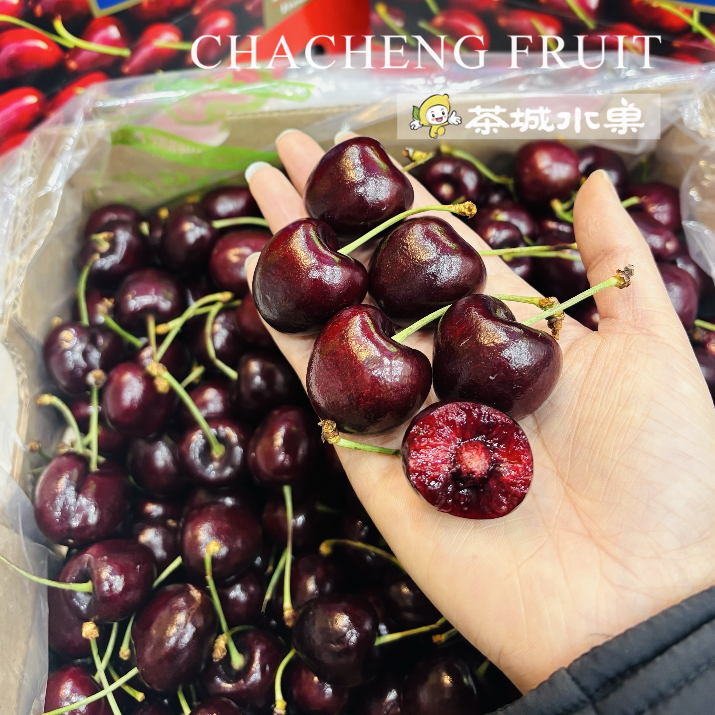 【同城小时达】智利海运车厘子2J 两斤装 新鲜脆甜多汁桑提娜智利桑提娜桑提娜桑提娜智利