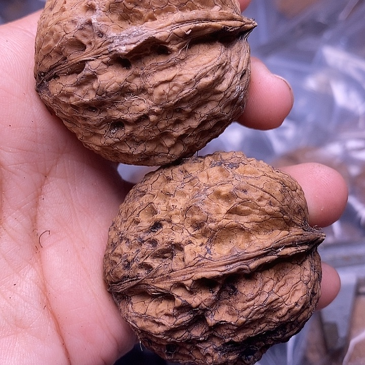 文玩核桃把件   113