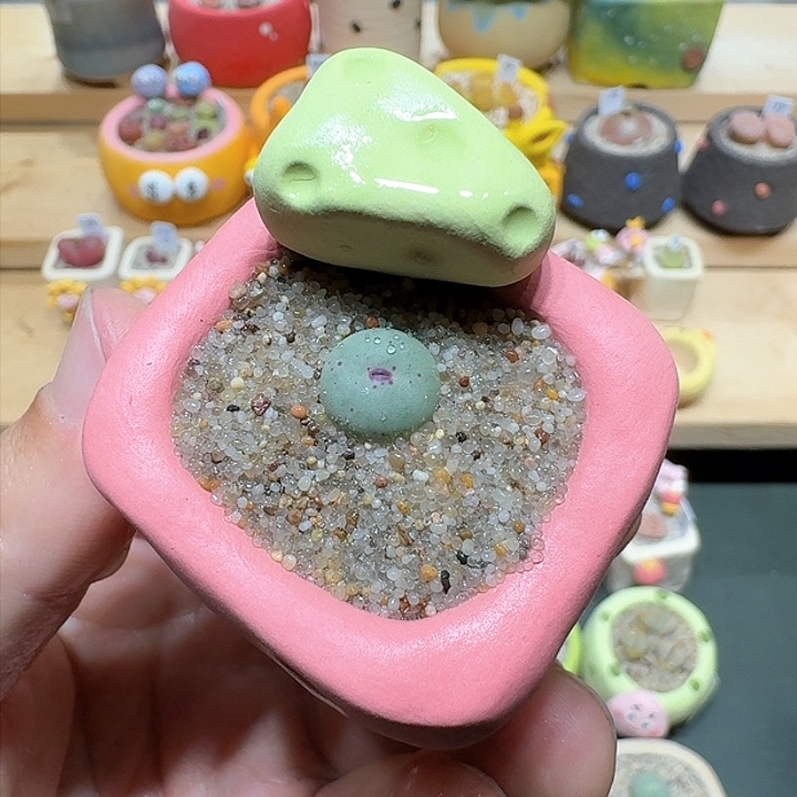 红陶蘑菇761小红嘴