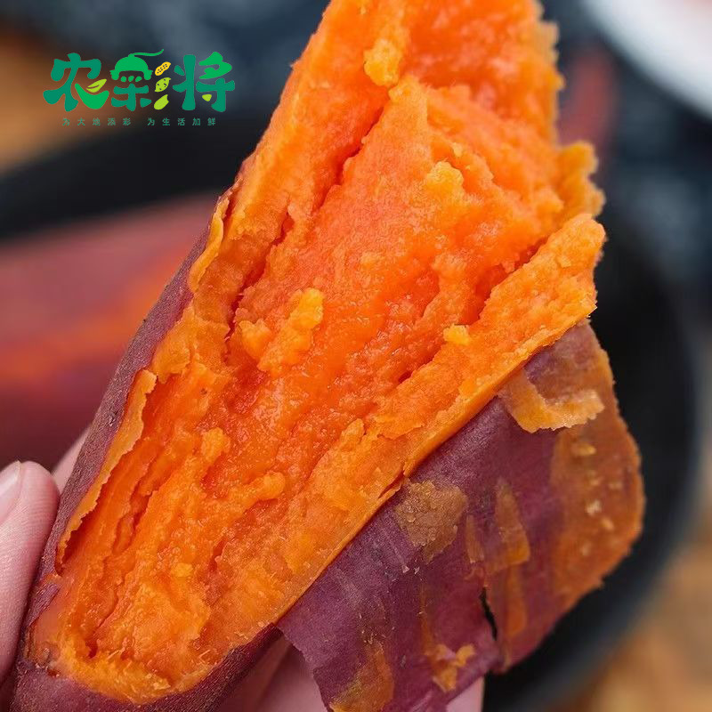 兰考农彩将西瓜红  大果  5斤装