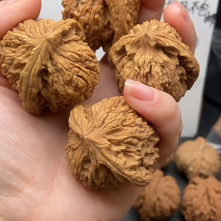 ****丷大大大大大大南疆黄金甲