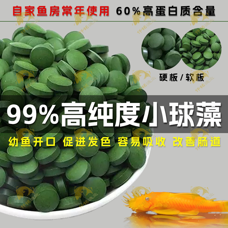小球藻鱼食藻片胡子大帆异形鱼饲料底栖虾粮熊猫迷宫鼠鱼苗开口粮