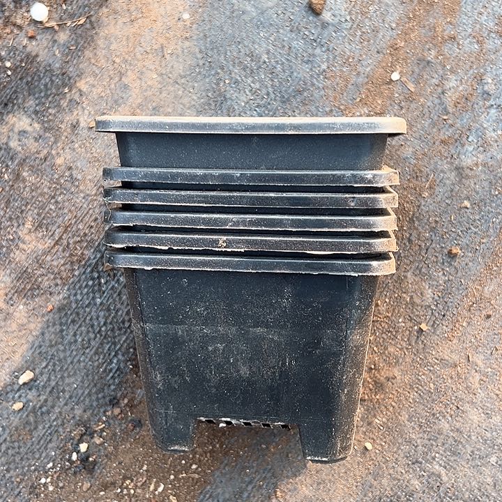 塑料口径11.5高度8.5 黑方一组20个