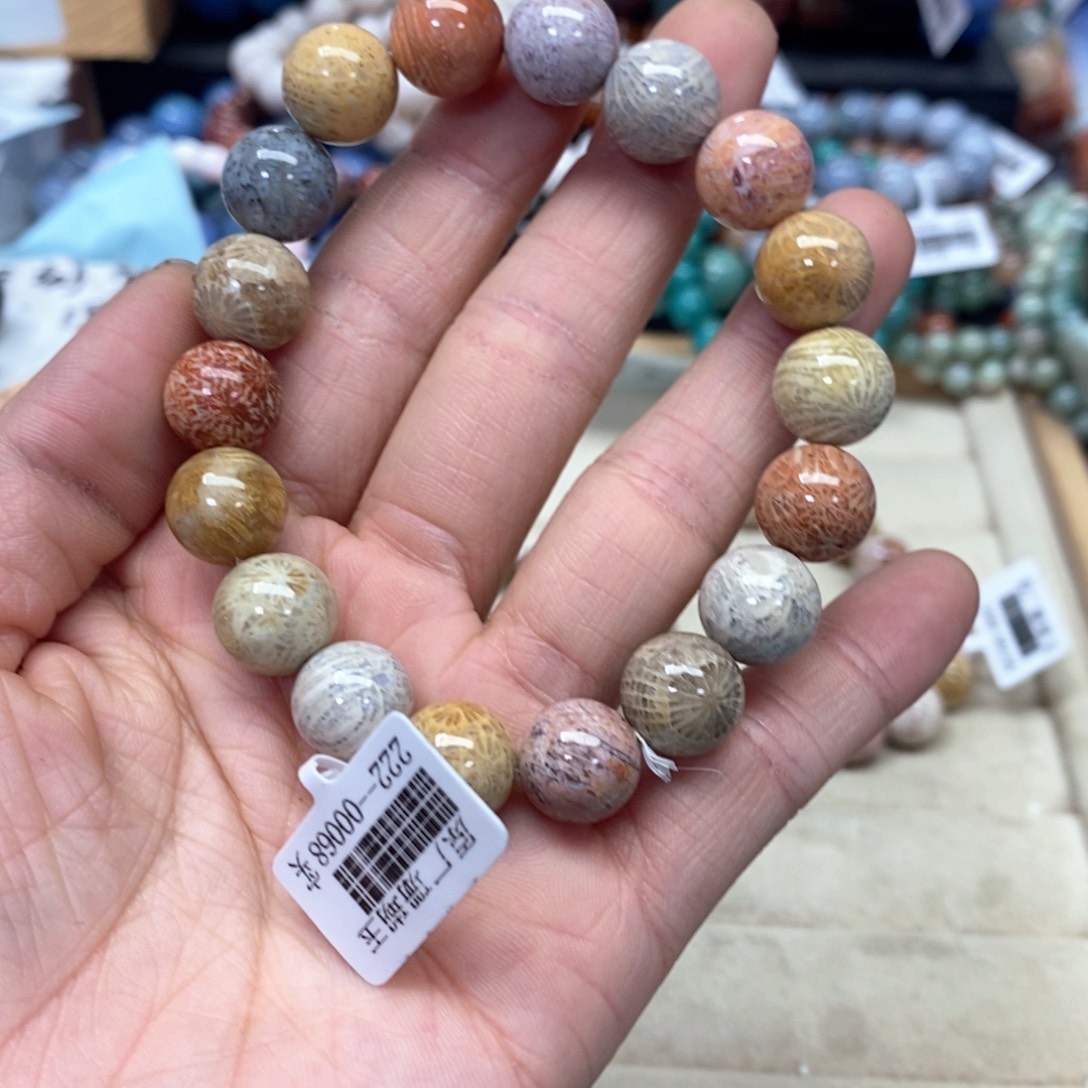 硅化珊瑚（珊瑚玉）手链未镶嵌我***肉239