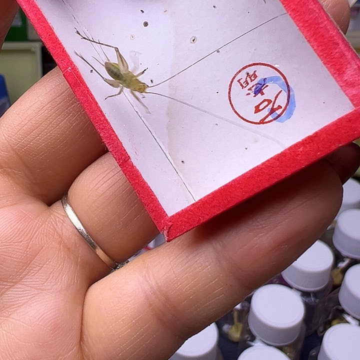 心***龢哈哈哈哈哈哈哈哈哈哈哈哈哈哈哈