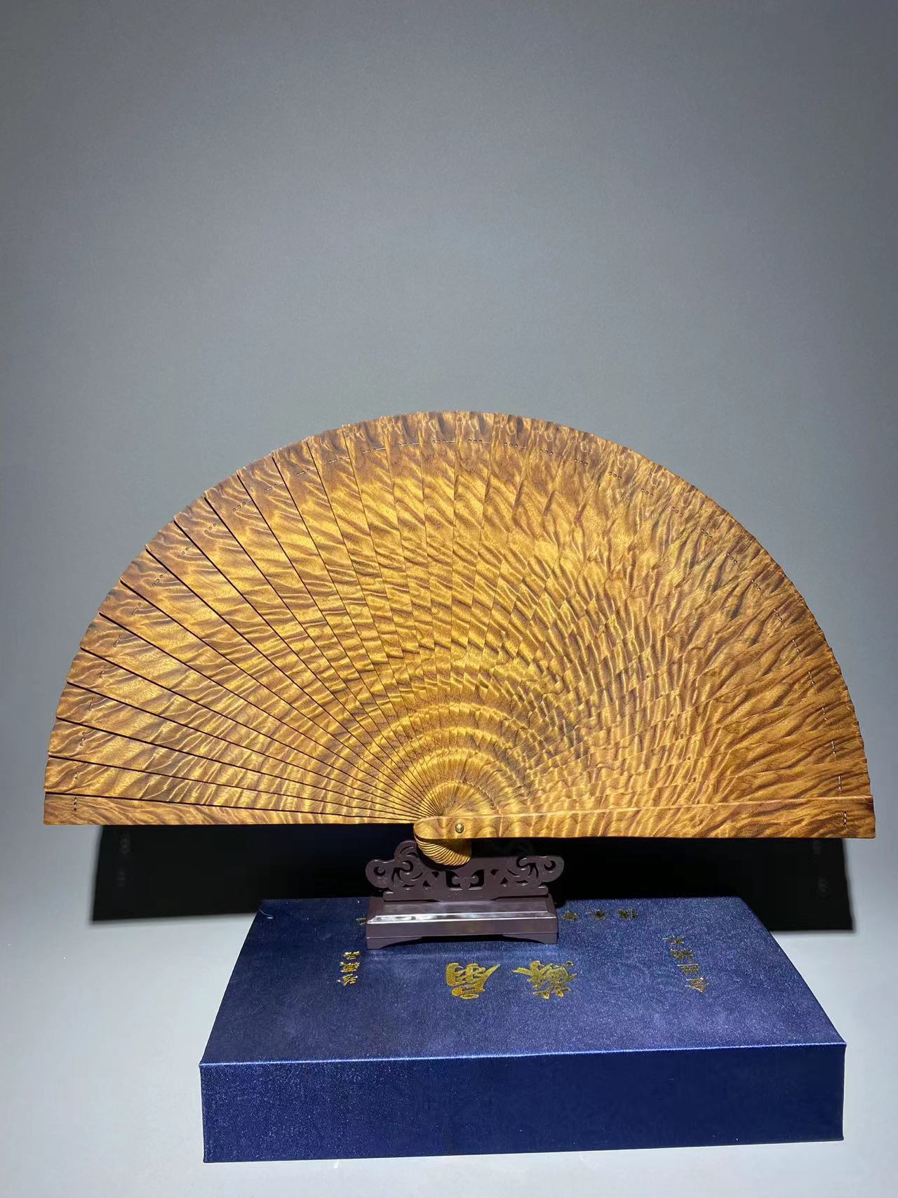 金丝楠小叶桢楠龙胆闪电凤尾24cm