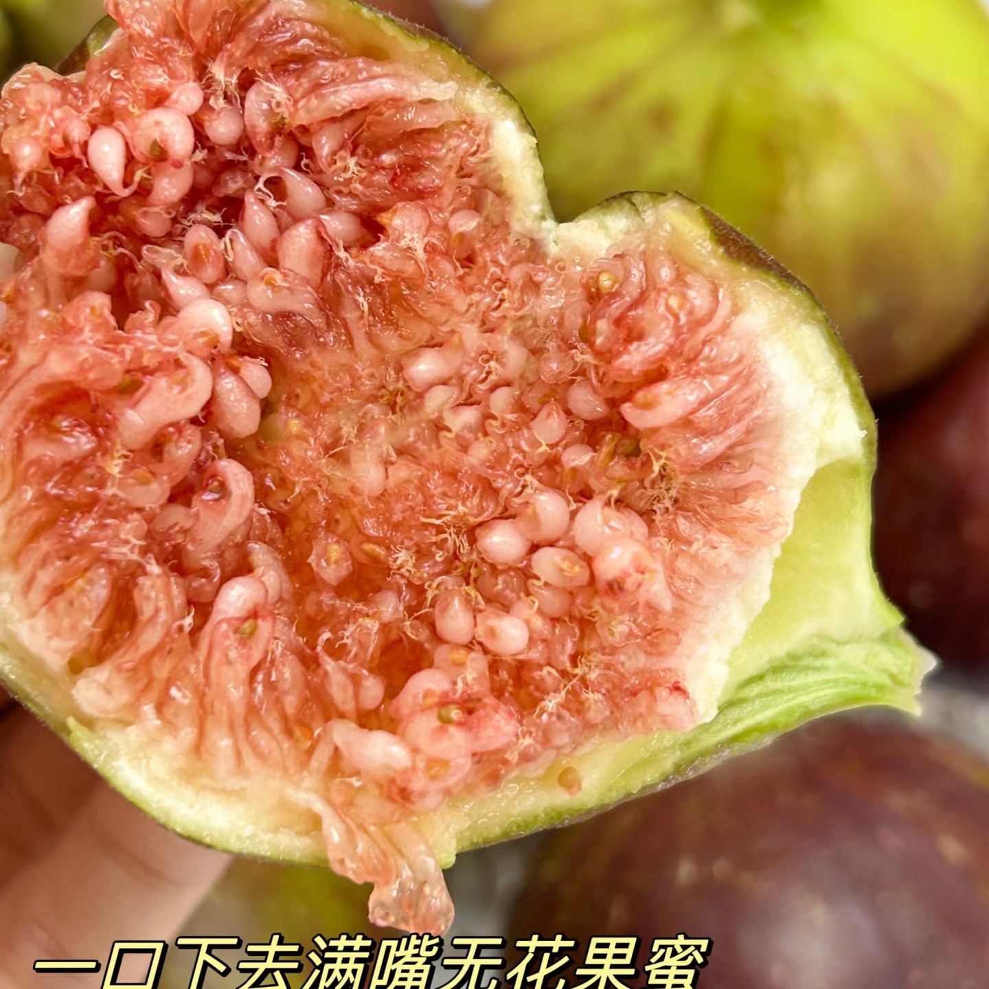 无花果一盒约 500g