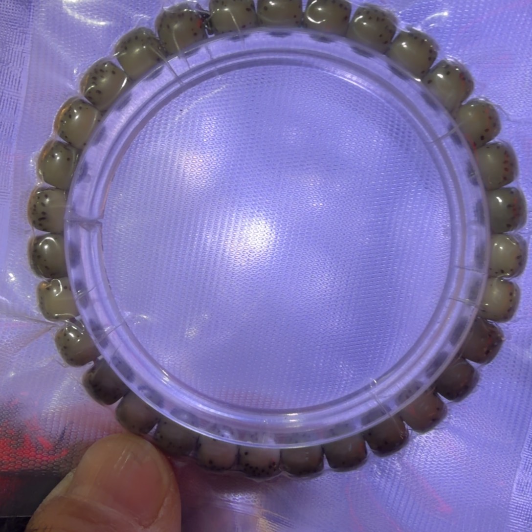 ？***星月菩提手串绿背河豚