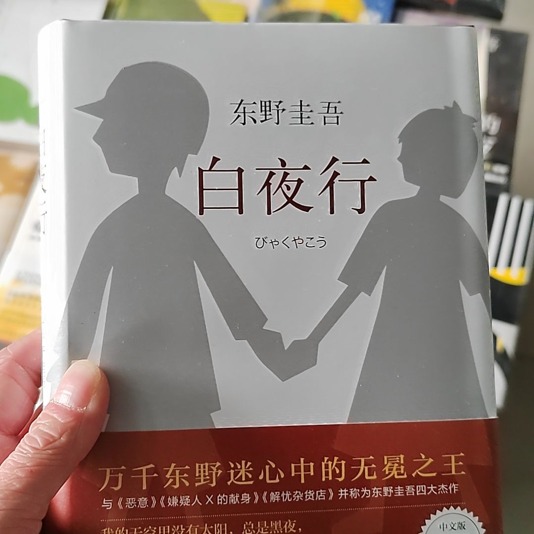 东野圭吾白夜行白夜行