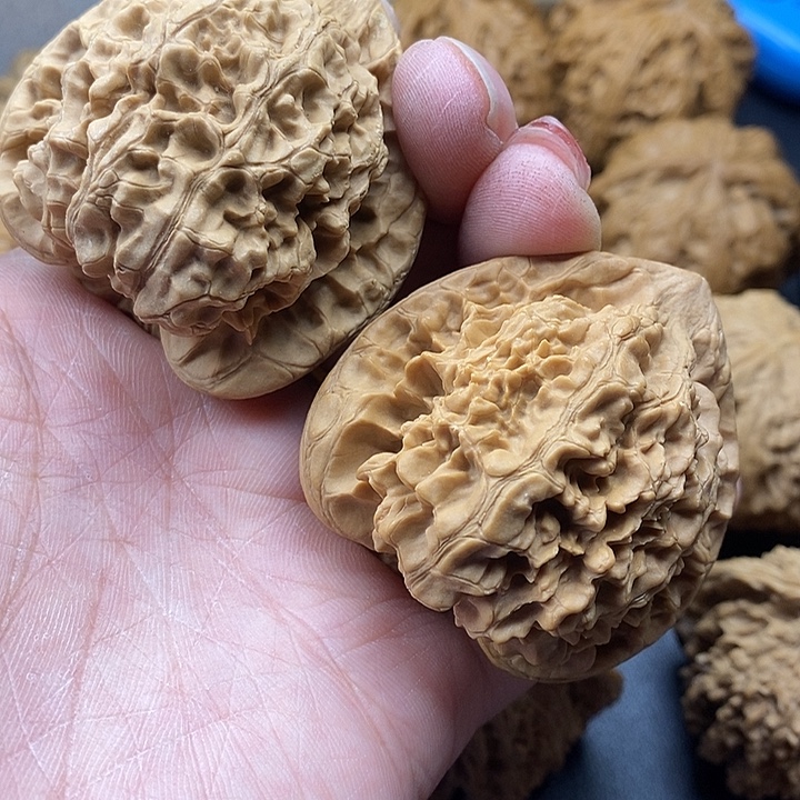 龙脊菩提吊坠色差50官帽