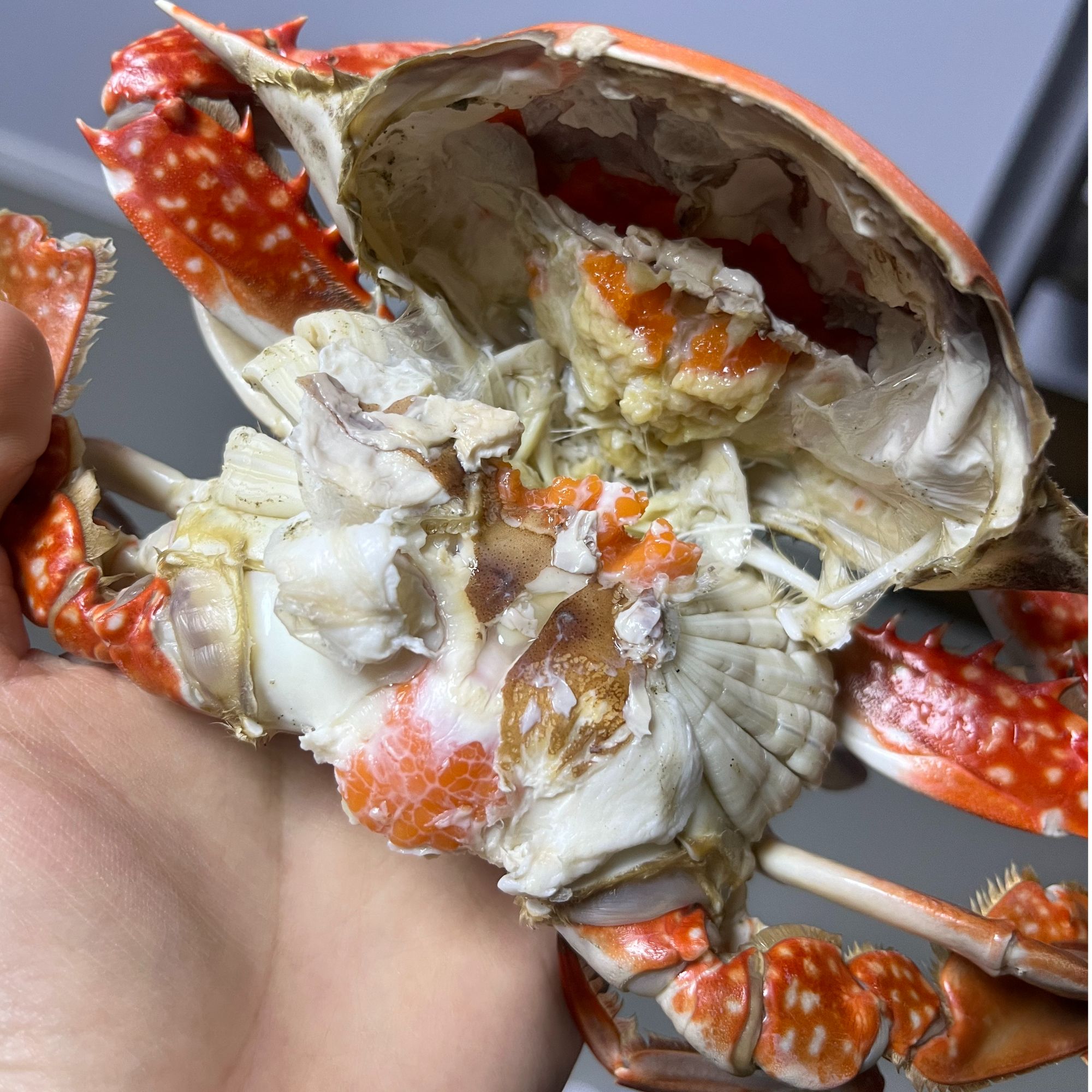 【保鲜不保活】东港三点黄大母蟹2斤(4-5只）单只4-5两腿甲不全