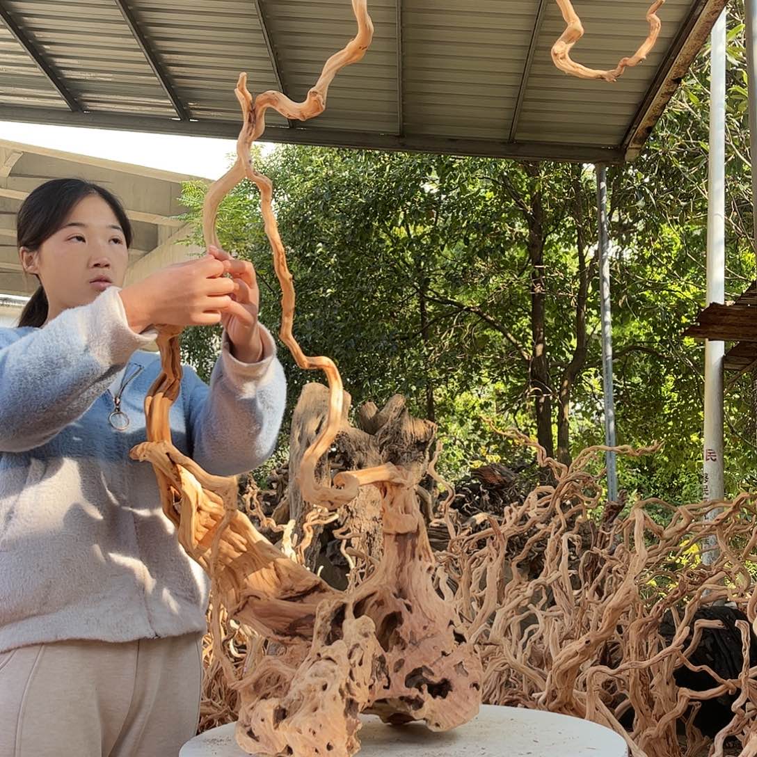 湖***制木我的小姐姐们都是我