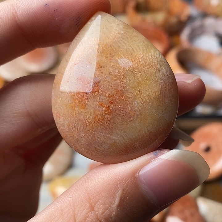 y***l硅化珊瑚未镶嵌颈饰