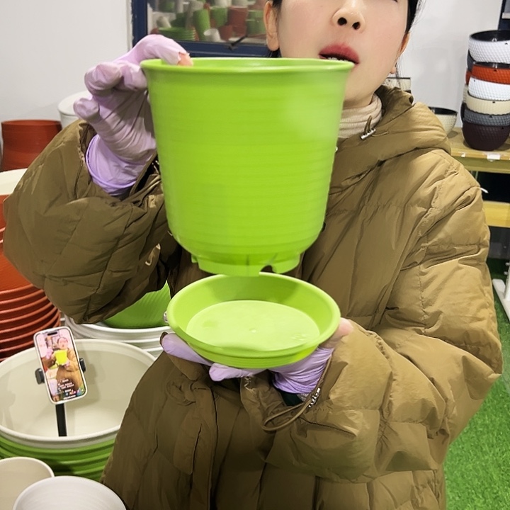 正品高陶口15高15果绿8只带托